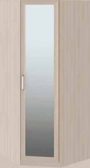 Волкер подростковая М01 Шкаф угловой в Ишиме - ishim.mebel-tymen.ru | фото